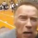 Arnold-Schwarzenegger