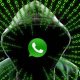 WhatsApp chat hacker