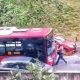 autobus pedone roma