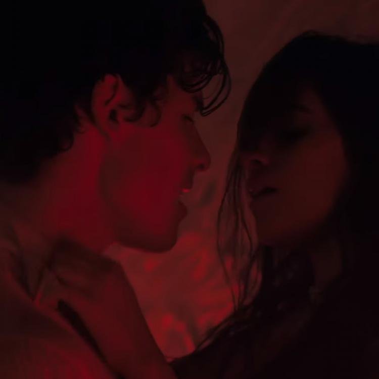 senorita-shawn-mendes-and-camila-cabello-senorita-video