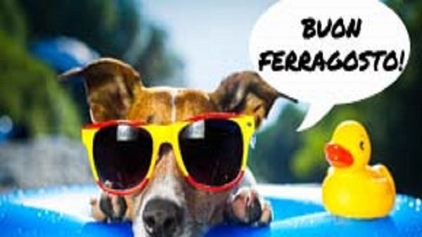 Auguri Buon Ferragosto Gif Video Ed Immagini Divertenti Da Inviare Su Whatsapp Notizie Audaci