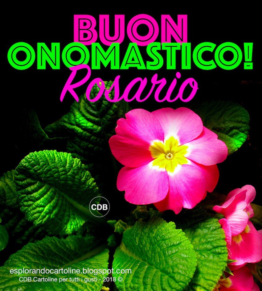 Buon Onomastico Rosaria E Rosario Oggi 7 Ottobre Video Gif E Immagini Di Auguri Da Inviare Via Social Notizie Audaci