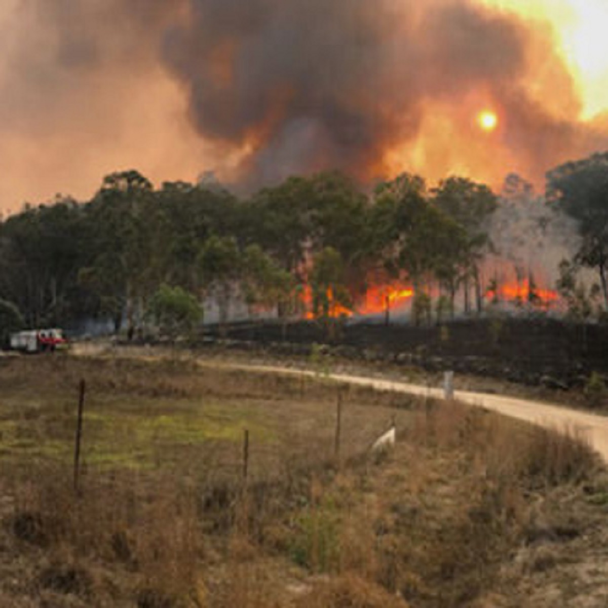 Australia in fiamme