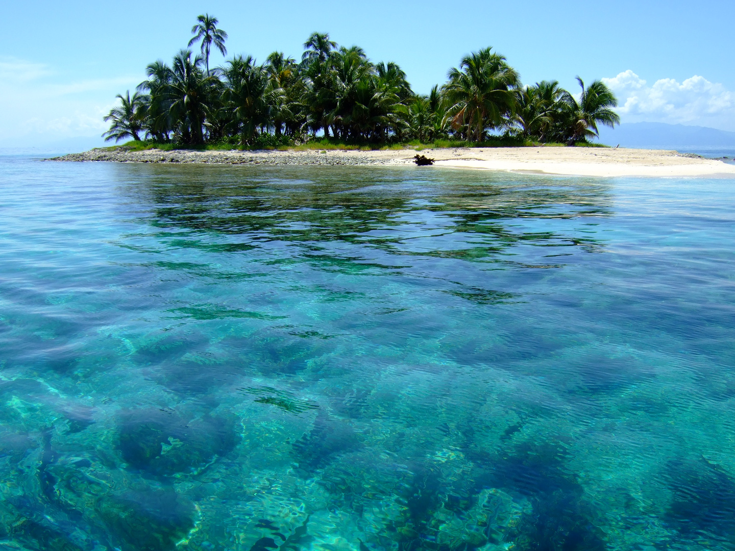 isola dei famosi