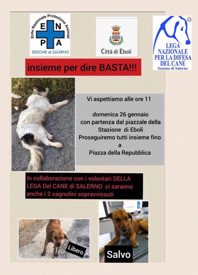 marcia solidarietà lega del cane