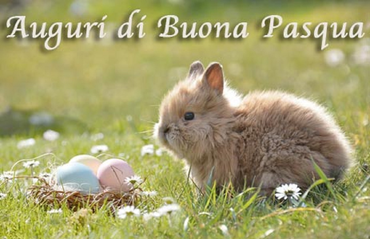 immagini buona pasqua #iorestoacasa