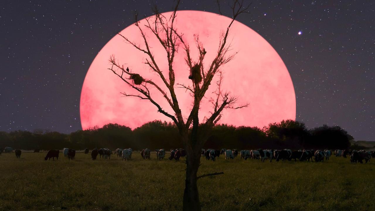 superluna 8 aprile