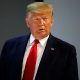 Trump morti