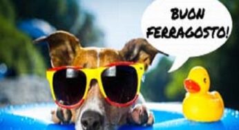 buon ferragosto 2020 Archivi | Notizie Audaci