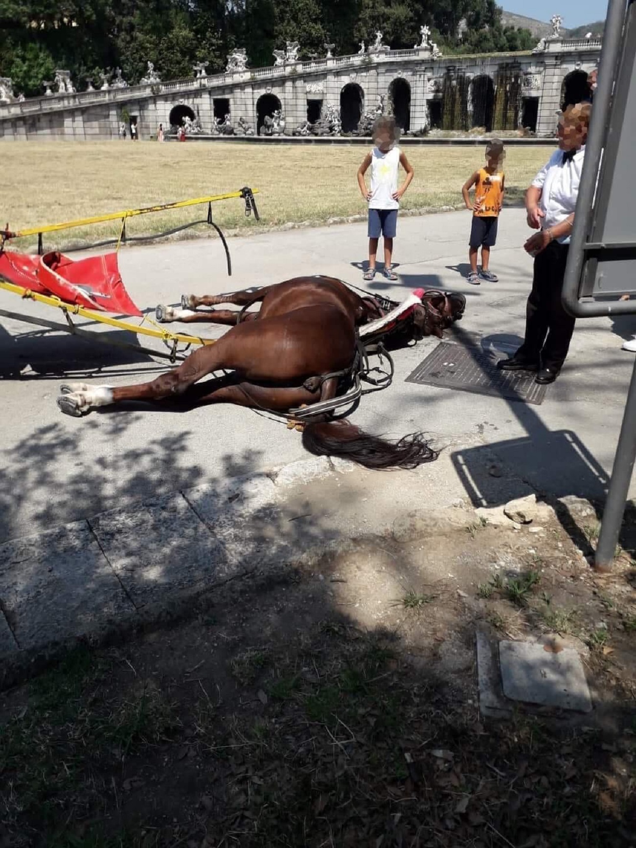 cavallo morto reggia caserta