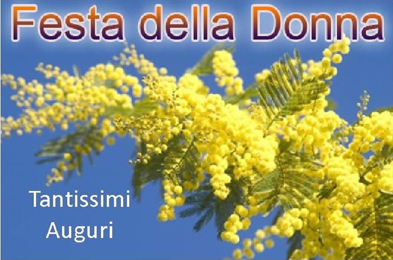 festa delle donne 2022 copertina