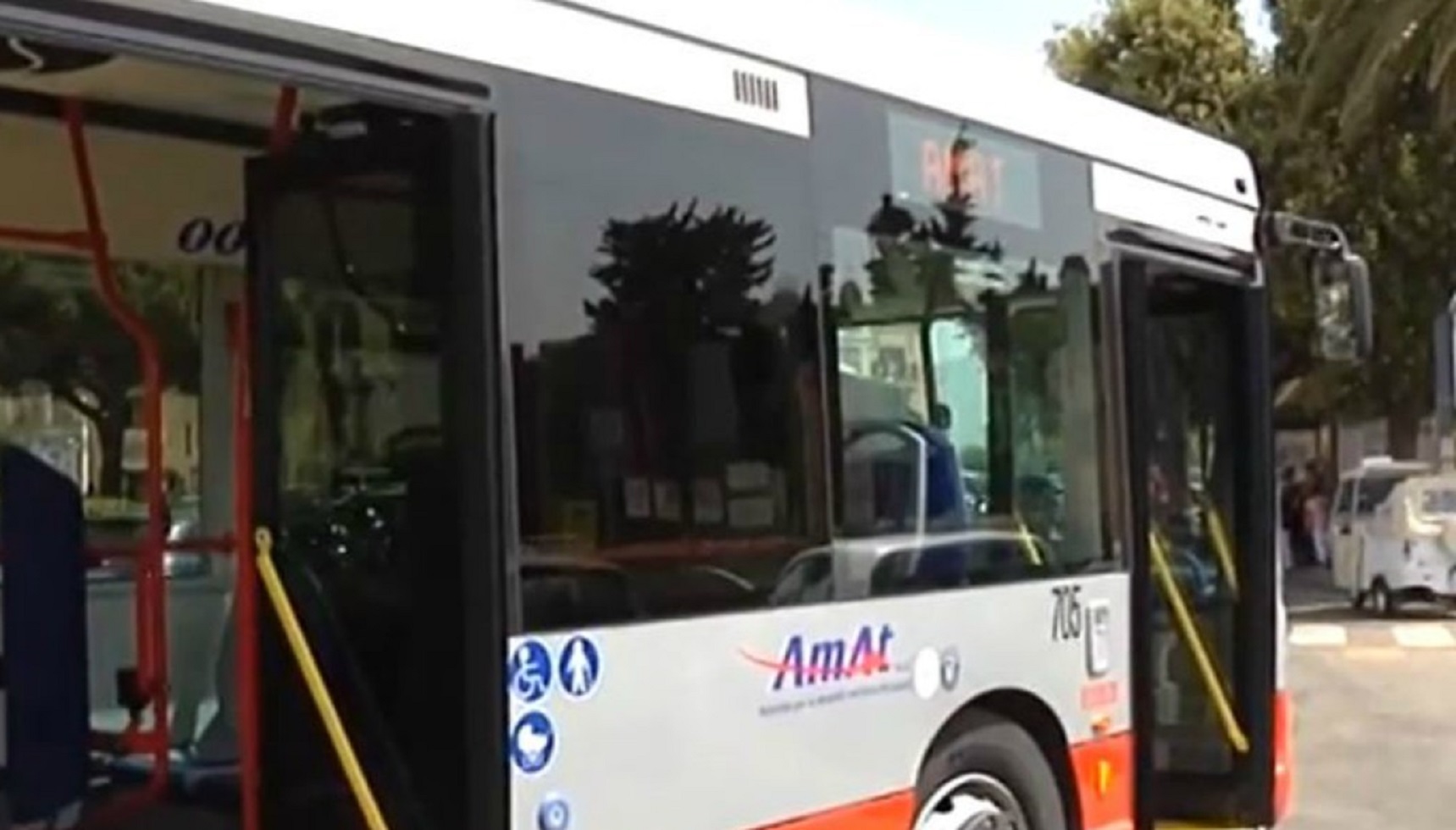 amatori di autobus ice la fox