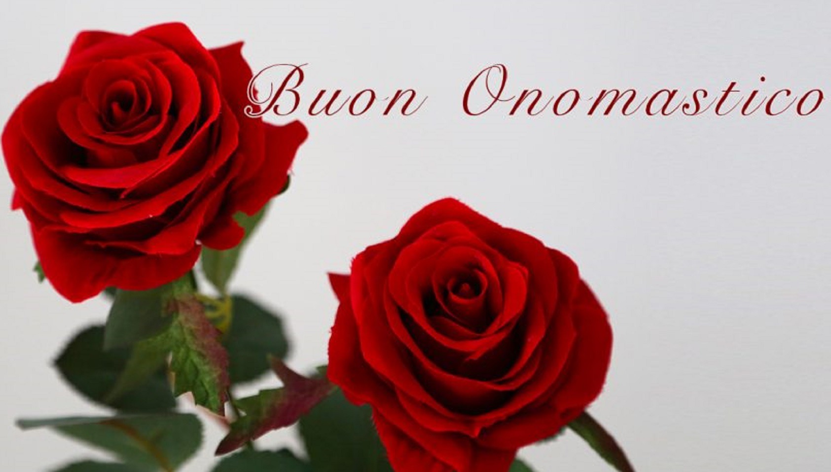 buon onomastico 11 febbraio