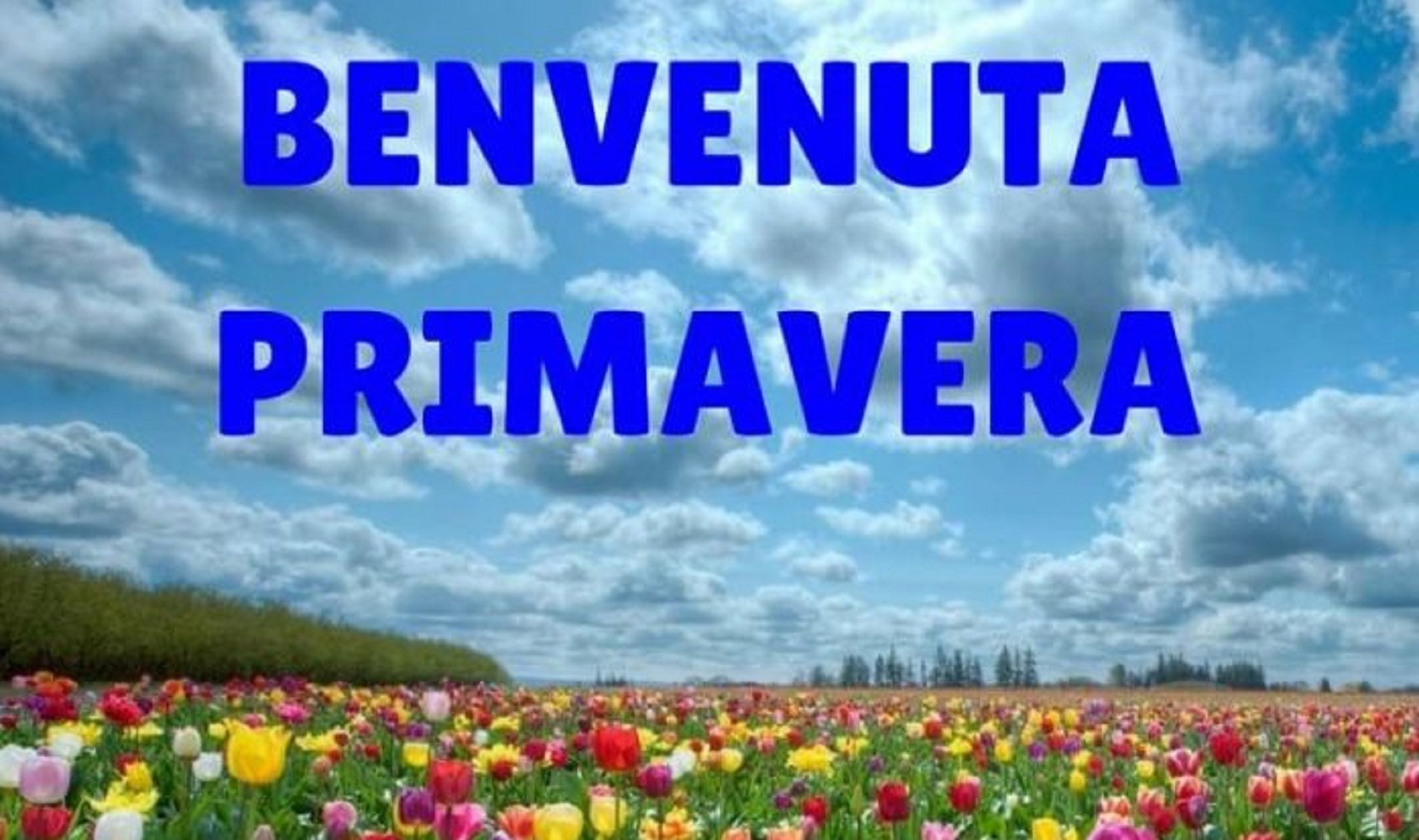 Primavera-01-apertura