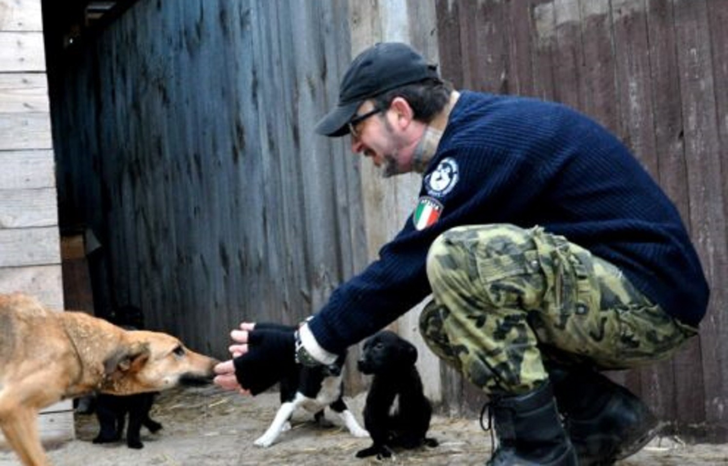 cisternino animali ucraina