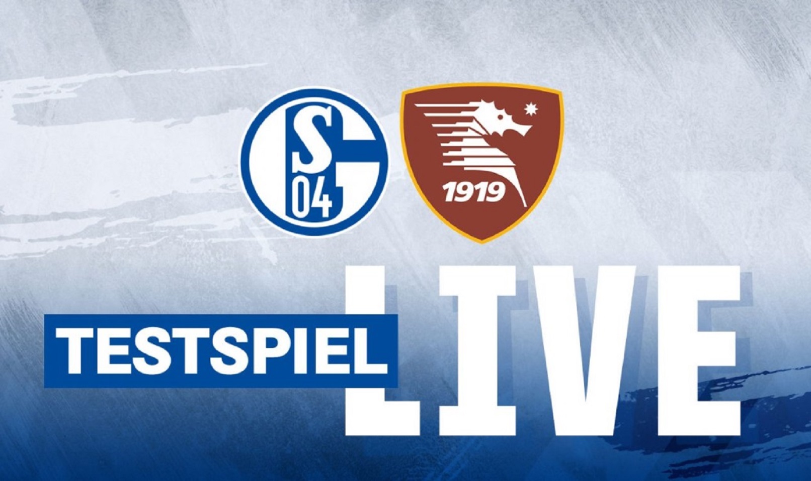 diretta Salernitana-Schalke 04