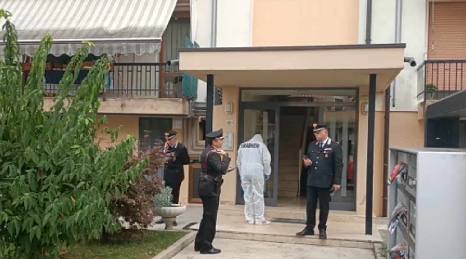 Conegliano Uccide La Madre 87enne E Il Gatto E Poi Chiama I 