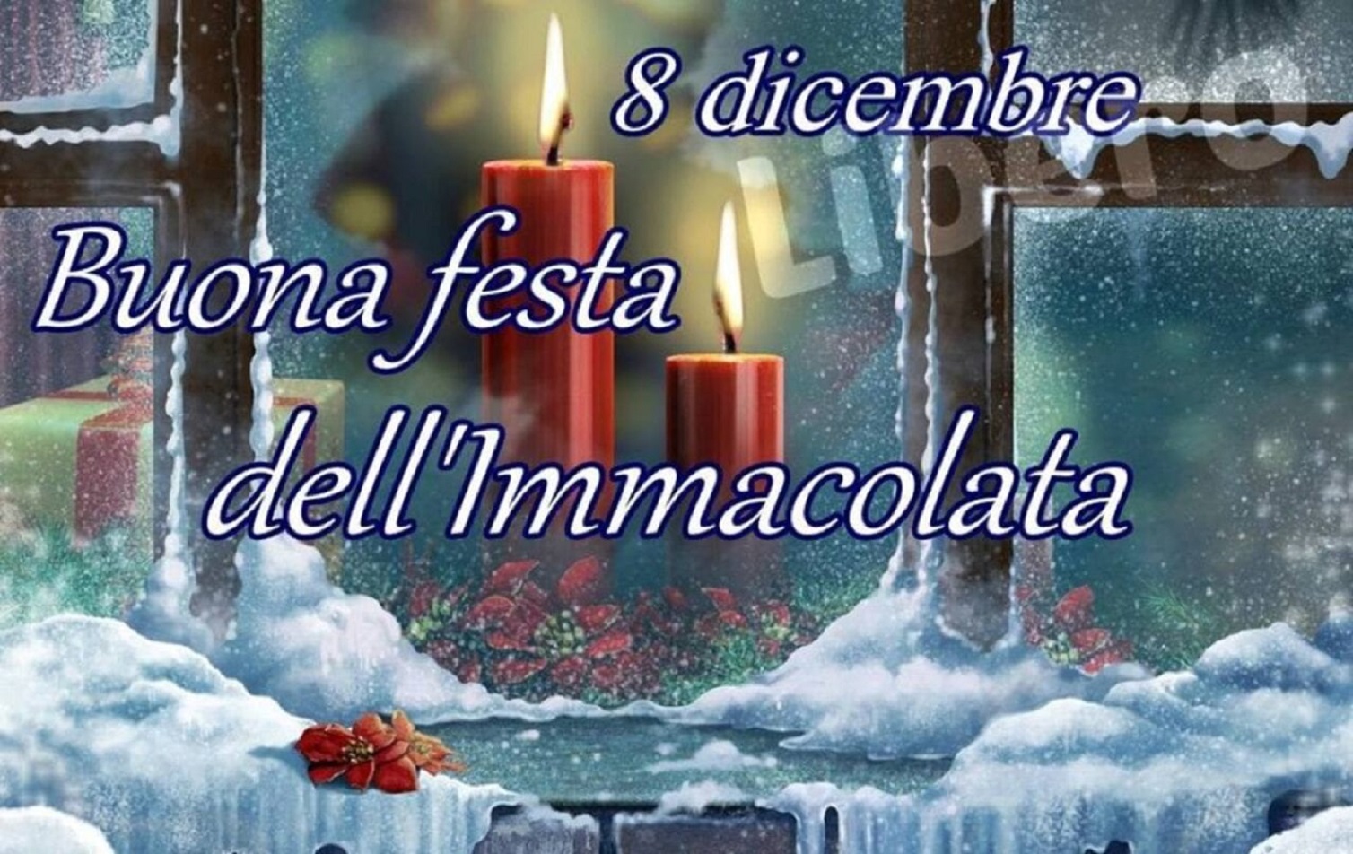 festa Immacolata