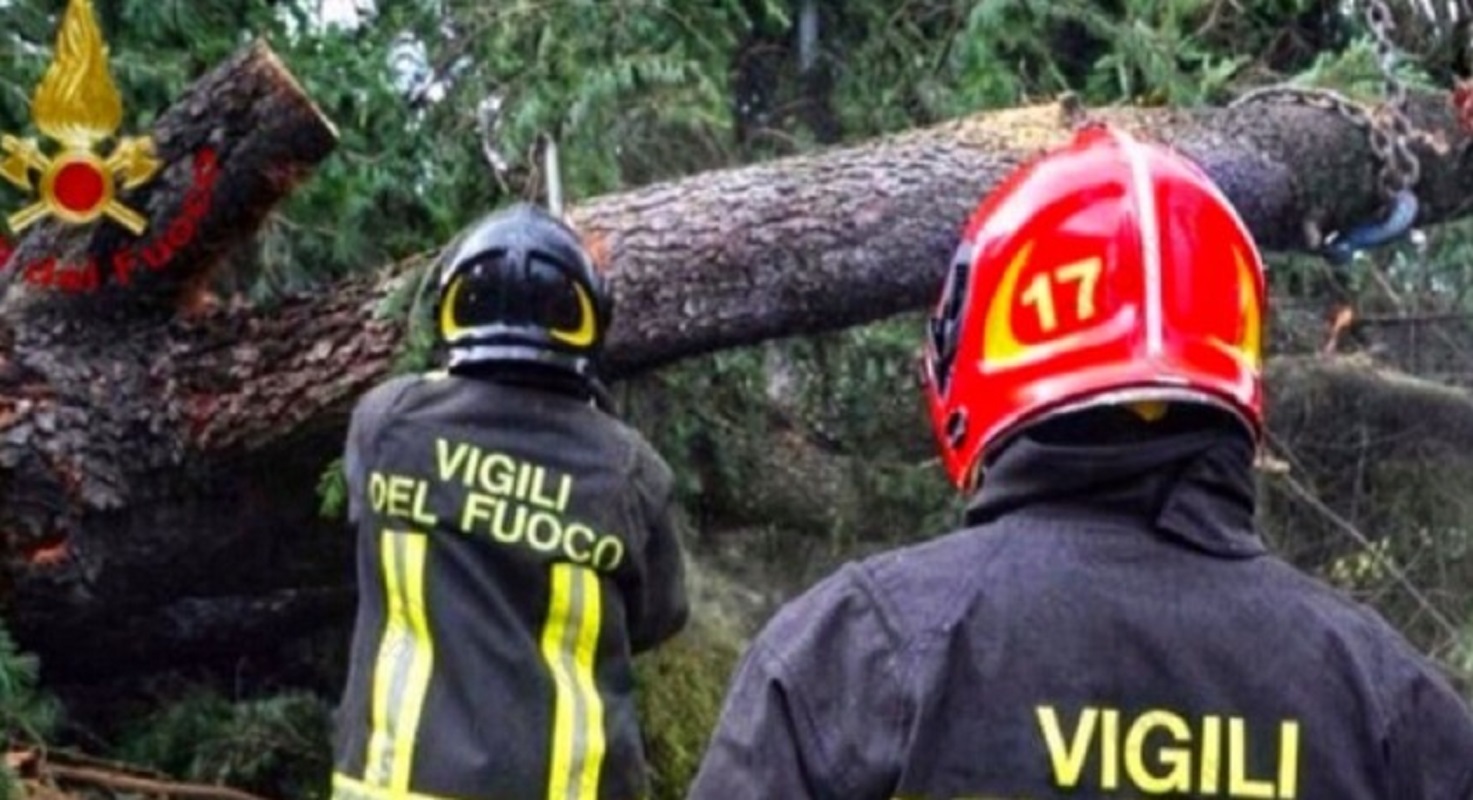albero caduto raccordo Avellino Salerno