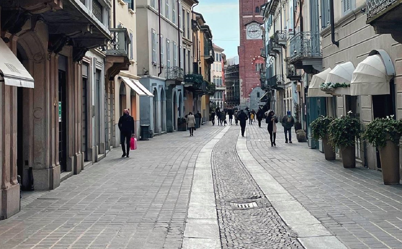 monza cane orecchio