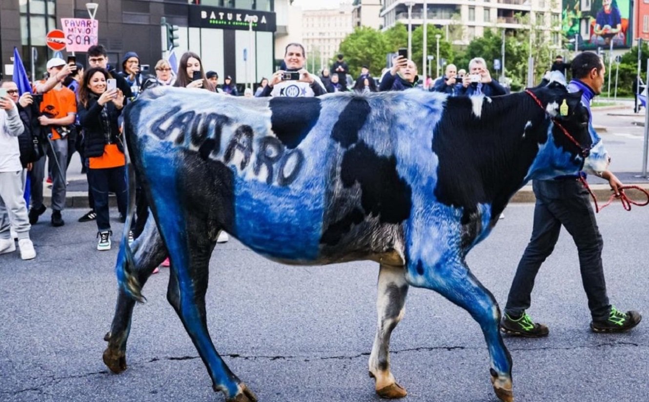 mucca nerazzurra