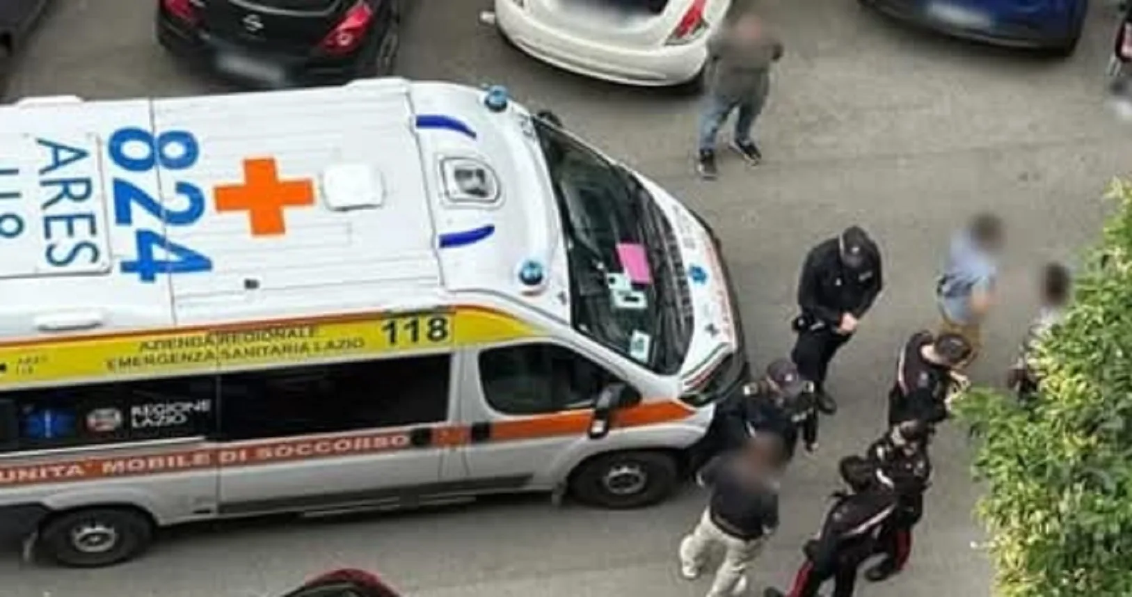 Roma, bimba di 2 anni azzannata da un cane: ferita alla schiena Roma, bimba di 2 anni azzannata da un cane: ferita alla schiena
