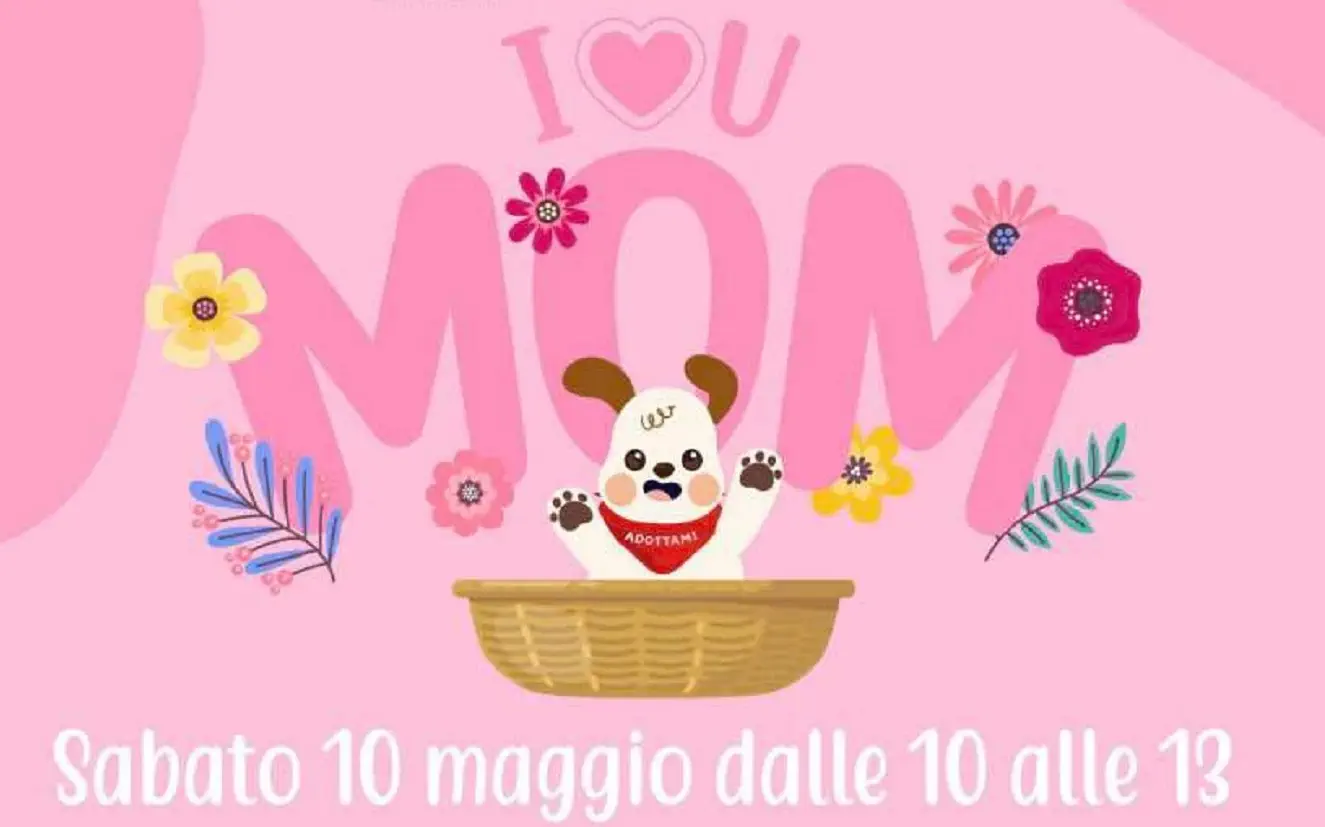 Una mamma per tutti: sabato 10 maggio sul Lungomare di Salerno con la Lega del Cane Una mamma per tutti: sabato 10 maggio sul Lungomare di Salerno con la Lega del Cane