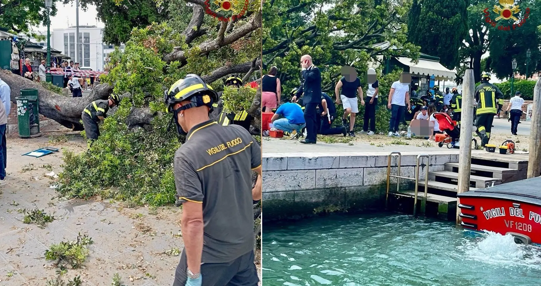 Albero caduto a Venezia, un cardiochirurgo e la moglie rianimano mamma di 2 figli: ‘Grazie allo smartwatch’ Albero caduto a Venezia, un cardiochirurgo e la moglie rianimano mamma di 2 figli: ‘Grazie allo smartwatch’
