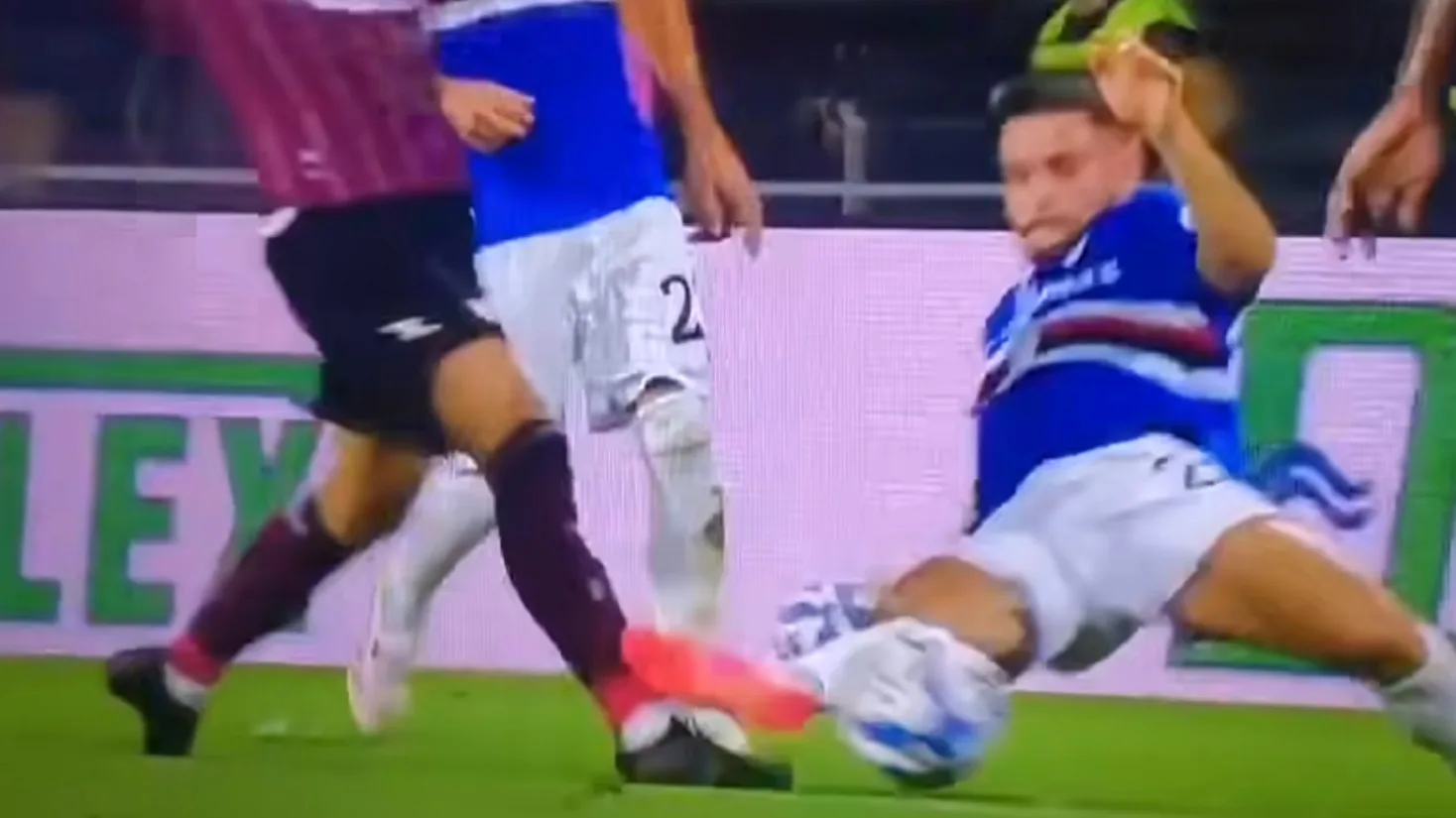 Salernitana Sampdoria 0 2 (sospesa al 65?), pagelle e highlights: Cerri sbatte su Raimondo Salernitana Sampdoria 0 2 (sospesa al 65?), pagelle e highlights: Cerri sbatte su Raimondo