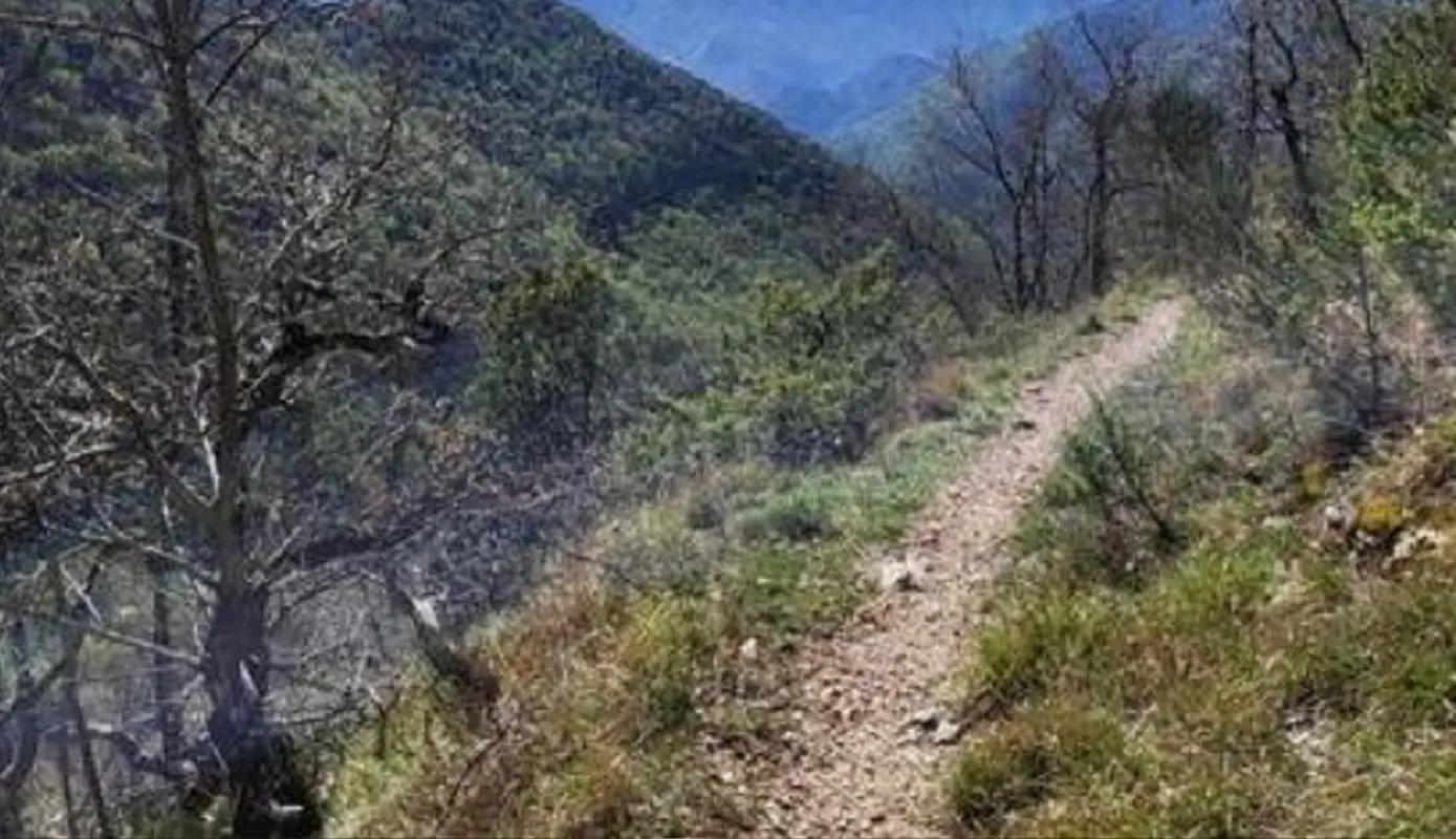 Tragedia sul Monte Luco: muore l’imprenditore altoatesino Othmar Weger travolto dal mezzo cingolato