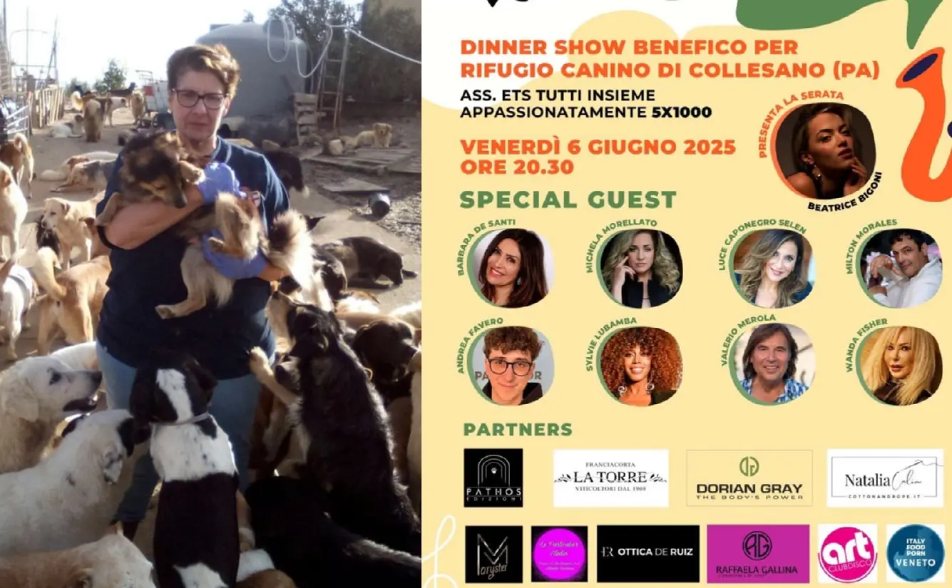 Vicenza e Palermo unite da un ponte d’amore per i cani: cena benefica per il rifugio di Collesano Vicenza e Palermo unite da un ponte d’amore per i cani: cena benefica per il rifugio di Collesano