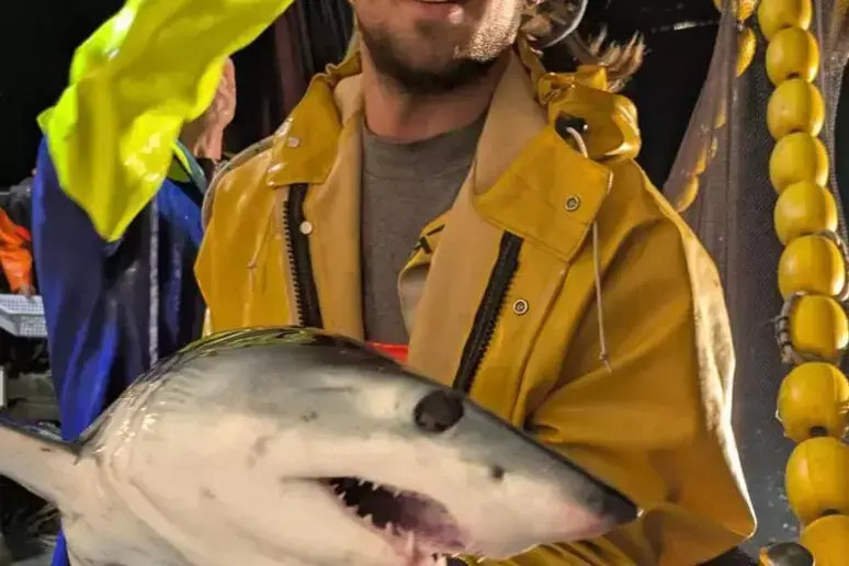 Squalo Mako finisce nelle reti dei pescatori di acciughe in Liguria Squalo Mako finisce nelle reti dei pescatori di acciughe in Liguria