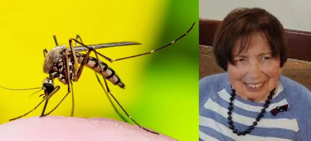 Adriana Meneghelli è morta in 24 ore per il West Nile