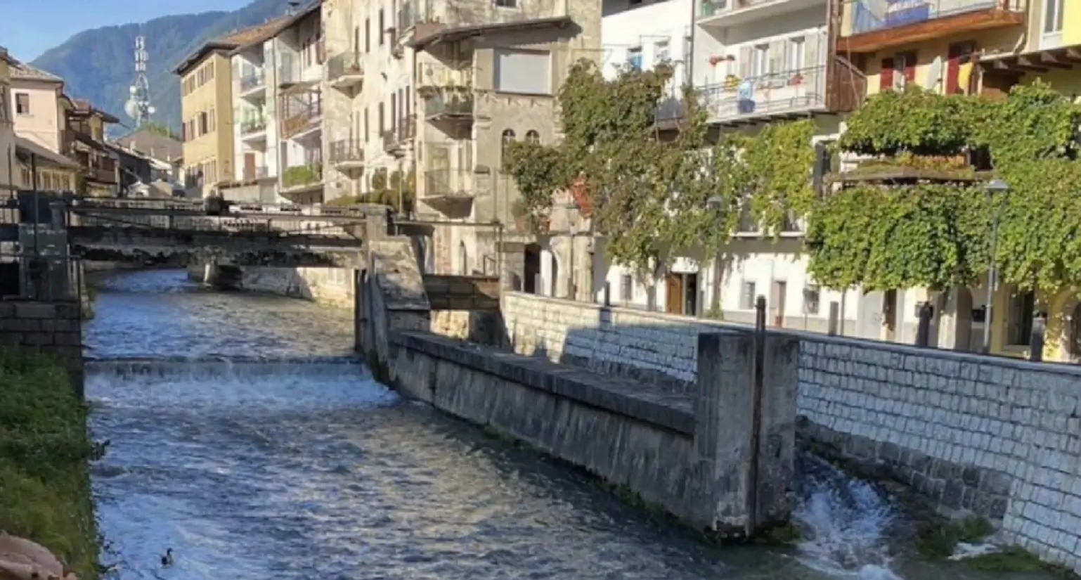 borgo valsugana professoressa travolta da un armadio trovata morta dopo una settimana