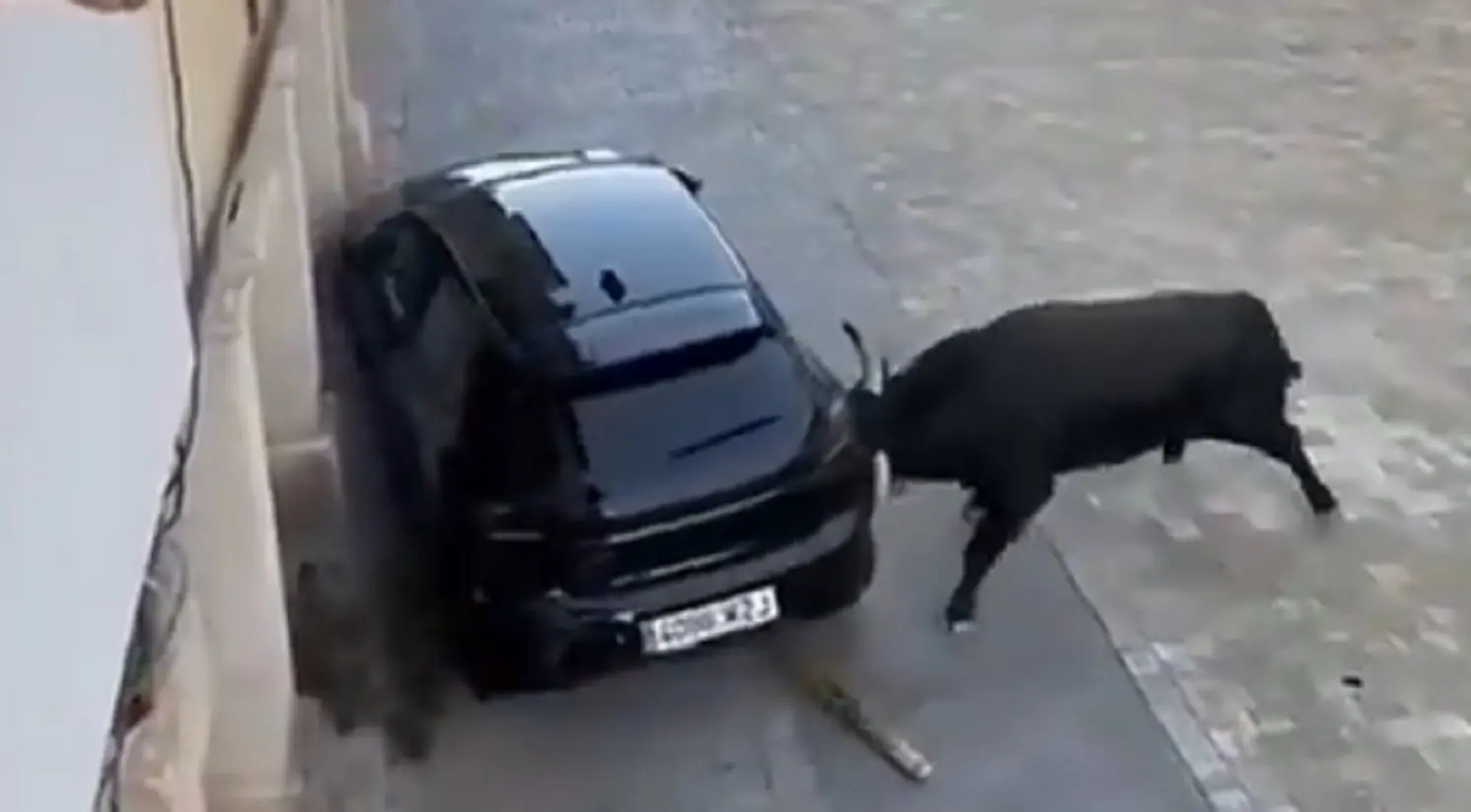 Spagna, toro di 600 chili devasta un’auto durante la corsa di Tendilla: il video diventa virale Spagna, toro di 600 chili devasta un’auto durante la corsa di Tendilla: il video diventa virale