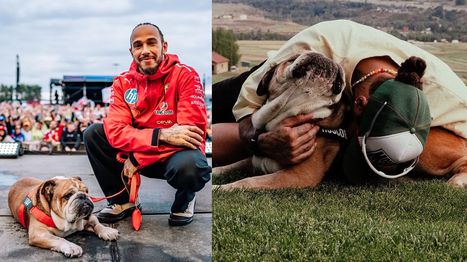 Lewis Hamilton, il commosso addio al bulldog Roscoe: ‘Un’anima bella’