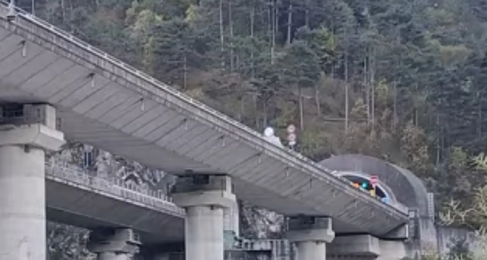 Giallo sull’A23, lascia l’auto e precipita dal viadotto dopo un incidente in galleria: morto ingegnere di Feltre Giallo sull’A23, lascia l’auto e precipita dal viadotto dopo un incidente in galleria: morto ingegnere di Feltre