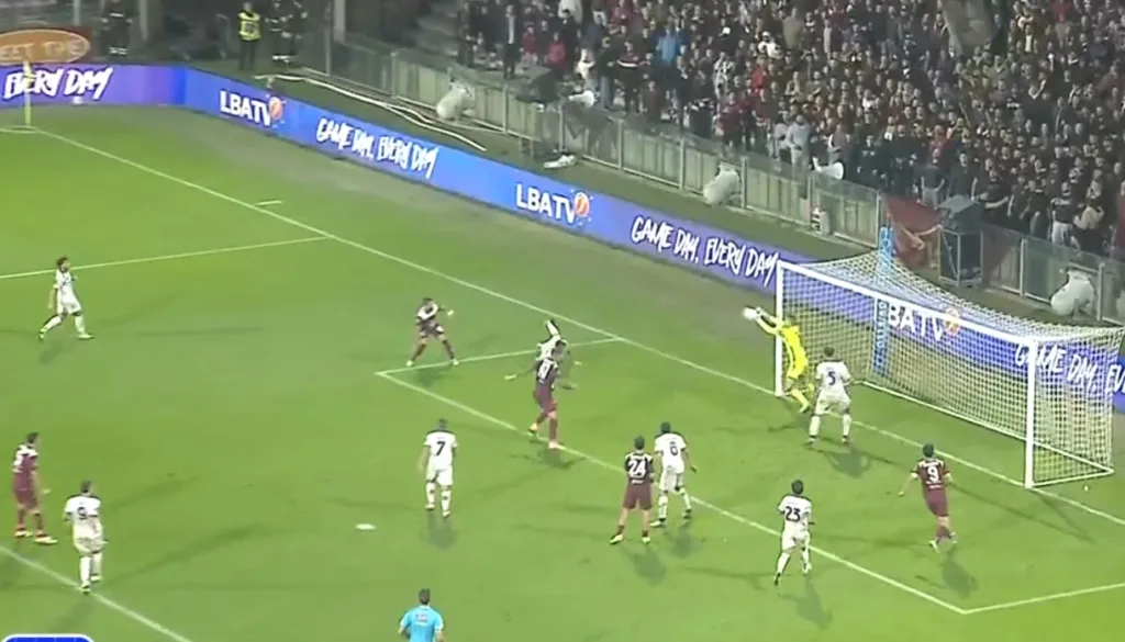 Conclusione Coppolaro