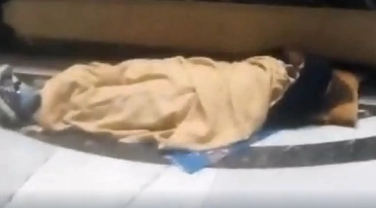 Chi l’ha visto, ritrova figlio scomparso da 5 mesi durante le ricerche di Alessandro Venturelli a Torino