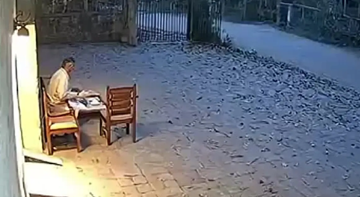 Panico sui social per la tigre in cortile in India: la verità dietro il video virale