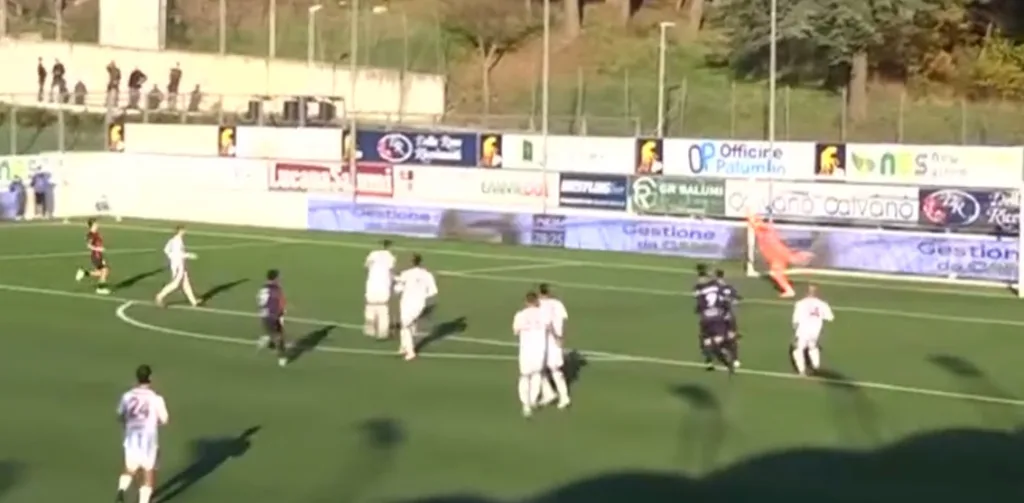 La conclusione di Cardoni