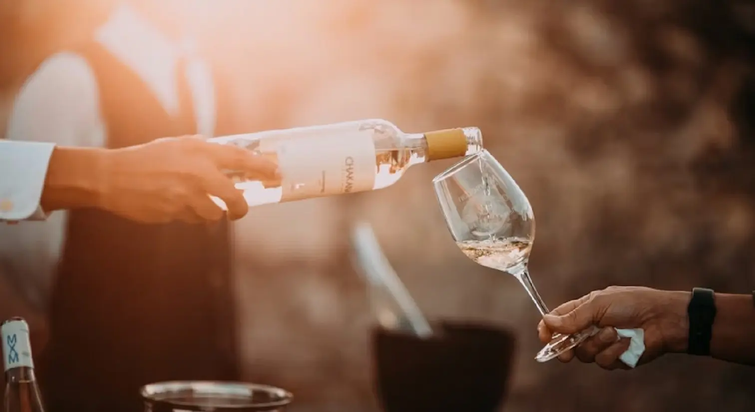 Regioni vinicole emergenti: le nuove frontiere che stanno conquistando l’attenzione internazionale