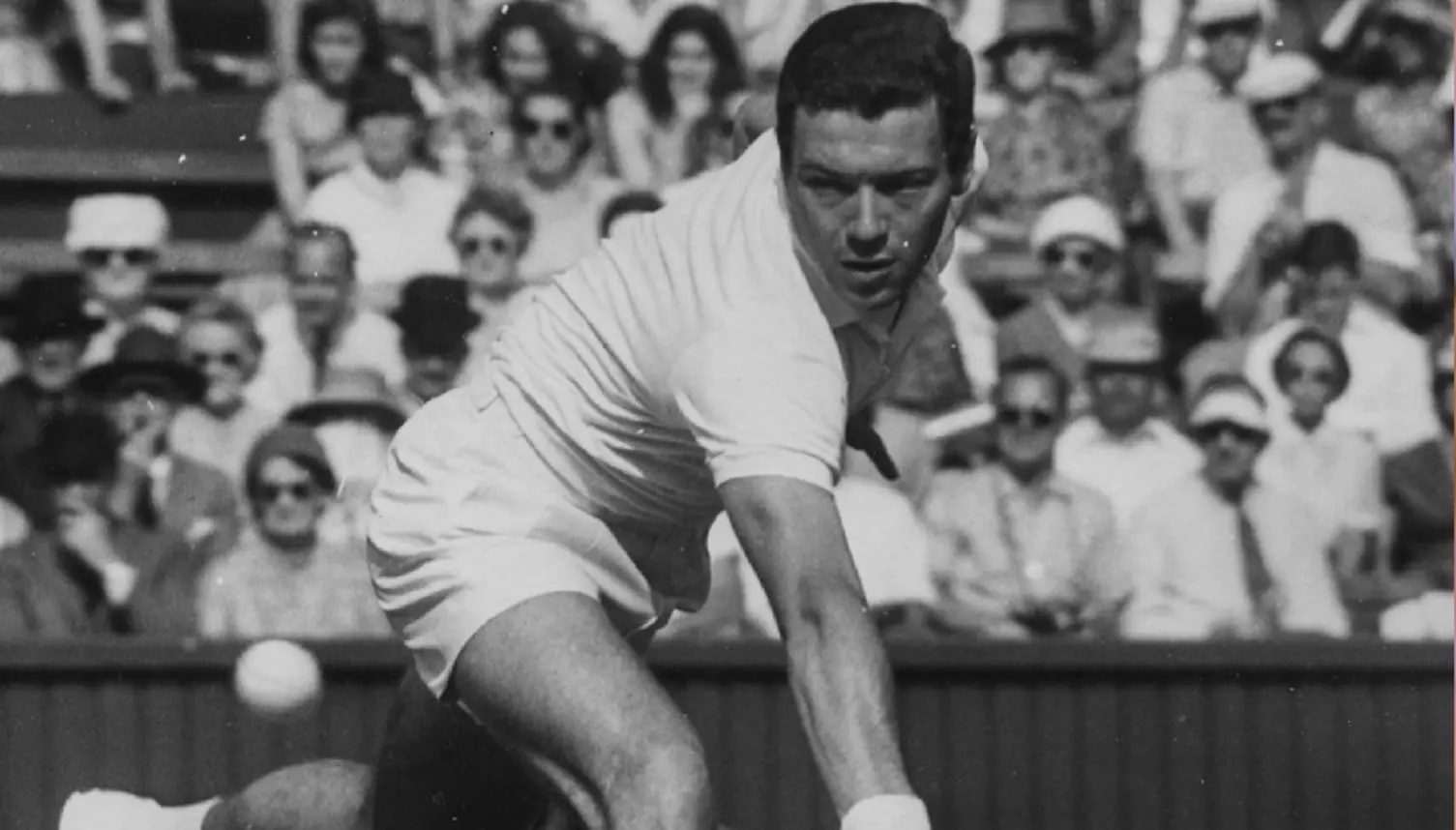 Addio a Nicola Pietrangeli, Panatta: ‘La morte del figlio un colpo tremendo’, Licia Colò: ‘La mia pietra miliare’ Addio a Nicola Pietrangeli, Panatta: ‘La morte del figlio un colpo tremendo’, Licia Colò: ‘La mia pietra miliare’