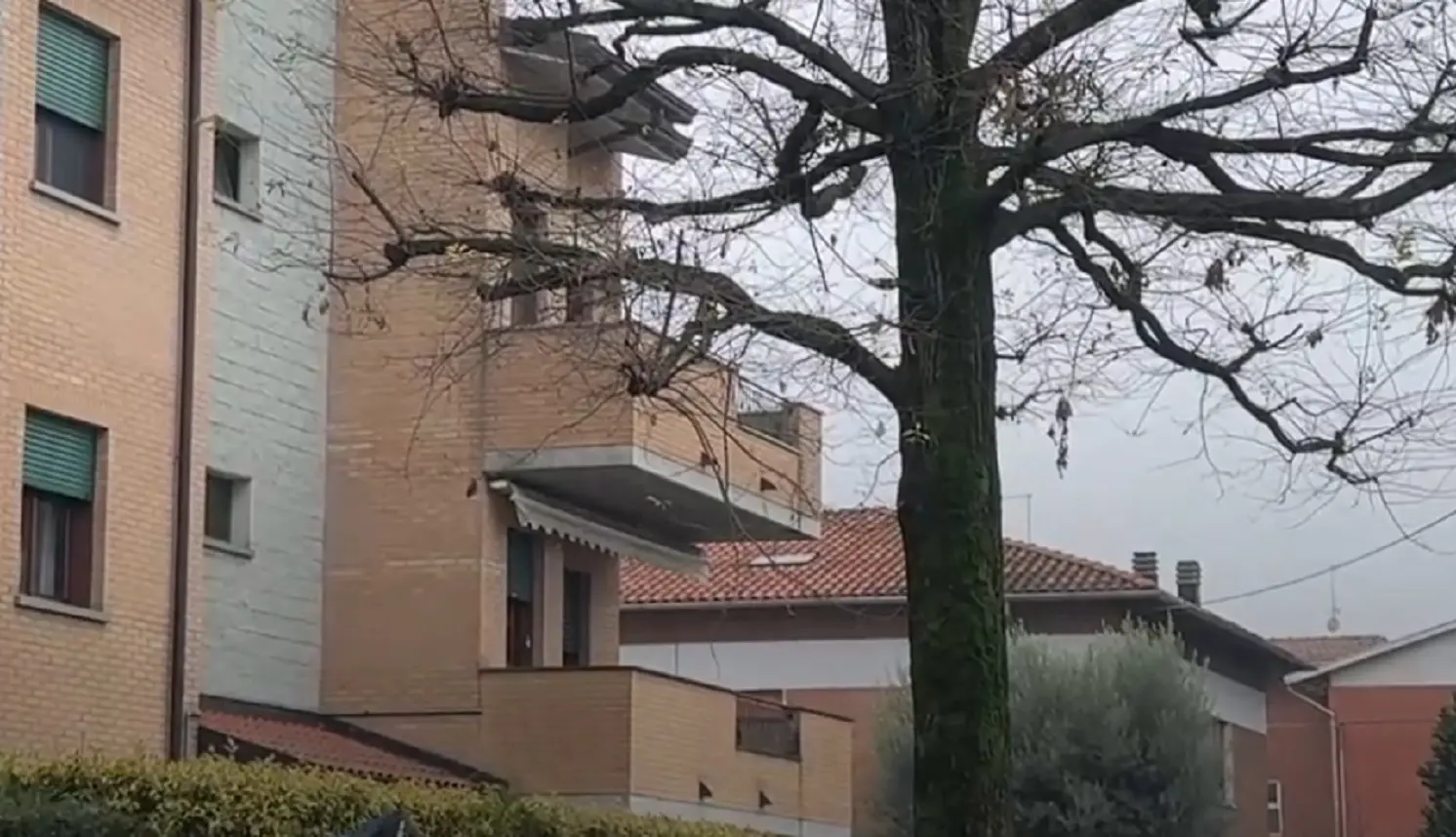 Castelnuovo Rangone, uccisa a martellate dal padre di 89 anni: Monica Canepari morta in casa davanti alla madre