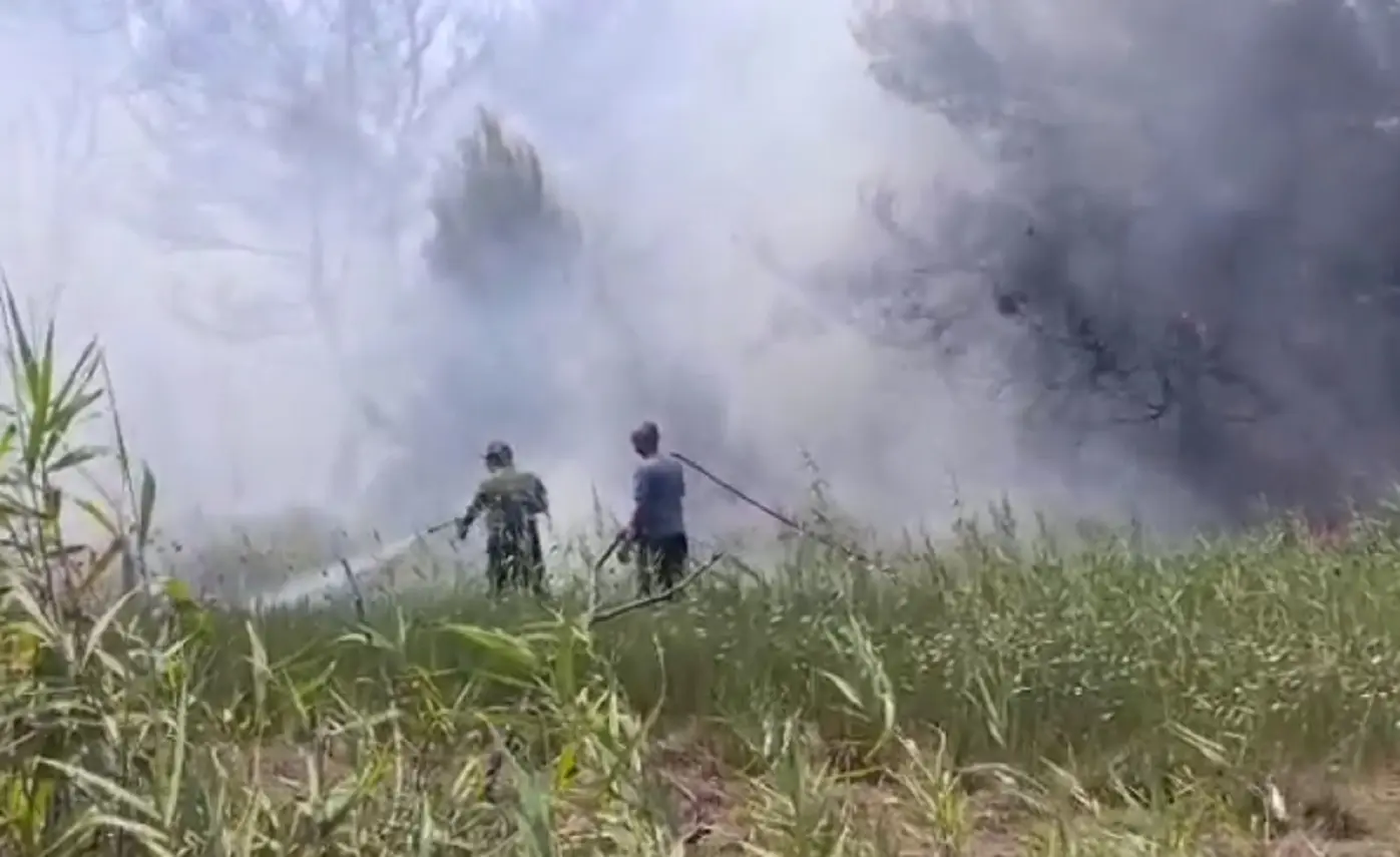 Bagnanti in fuga per un incendio a Torre San Giovanni
