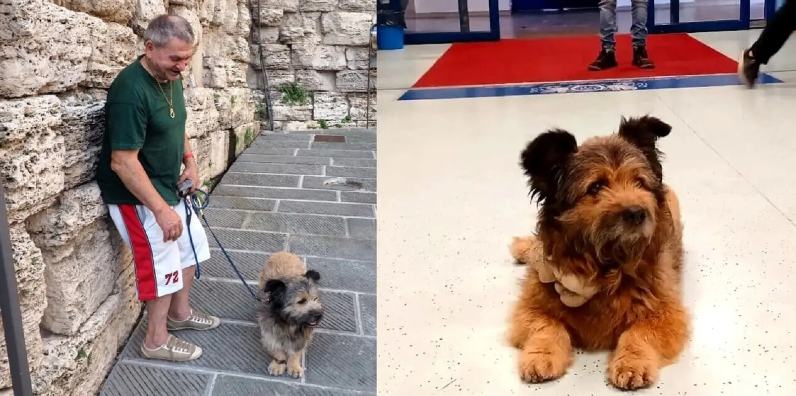 Il cane Francesco con ii suo fidato amico umano, Italo