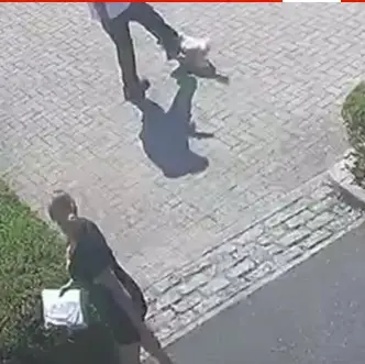 Il postino ha colpito il cagnolino con un calcio