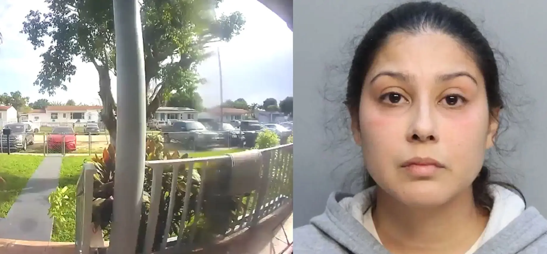 La 34enne della Florida è accusata di maltrattamenti