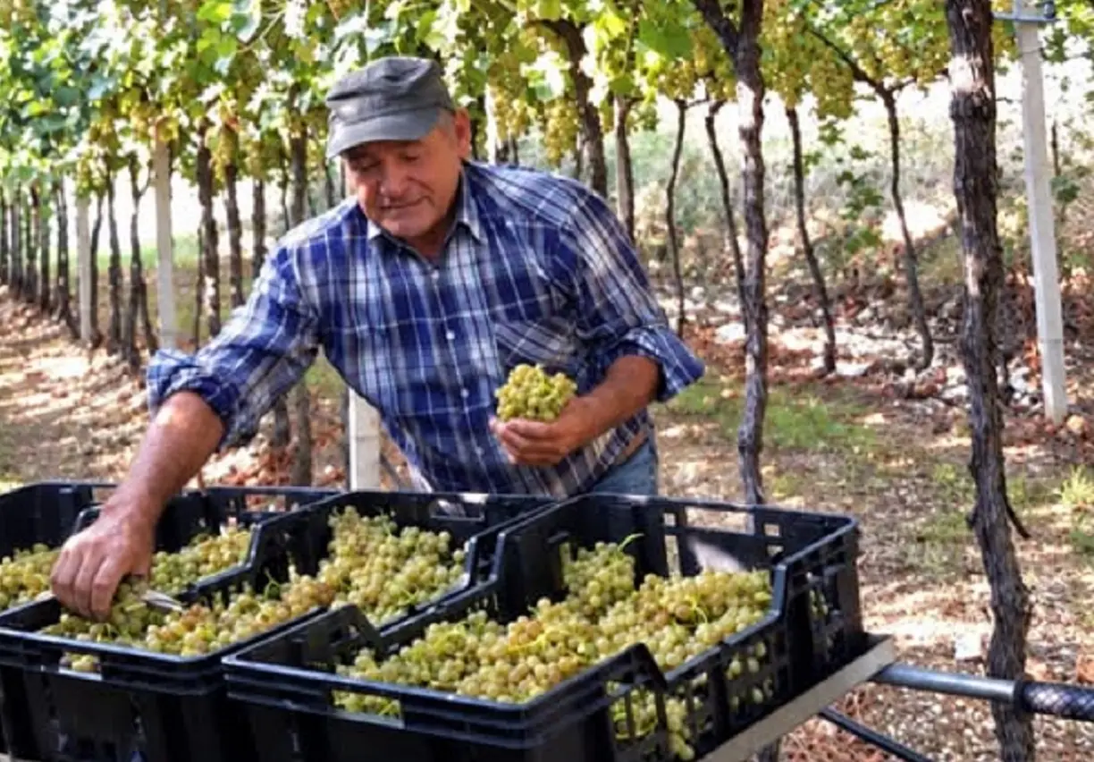 Gino Magnabosco